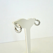 Cargar imagen en el visor de la galería, Aretes Circe Acero