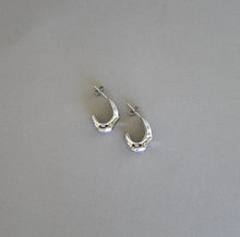 Cargar imagen en el visor de la galería, Aretes Clove Acero