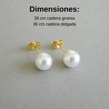 Cargar imagen en el visor de la galería, Circle Bundle Acero Dorado