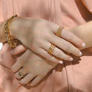 Modelo usando anillos de acero dorado
